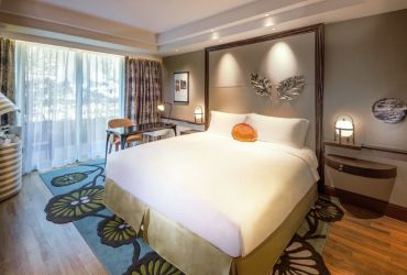 Luxury Room
